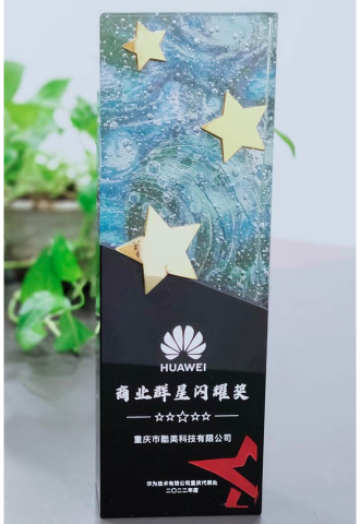 2022-華為-商業(yè)群星閃耀獎(jiǎng)